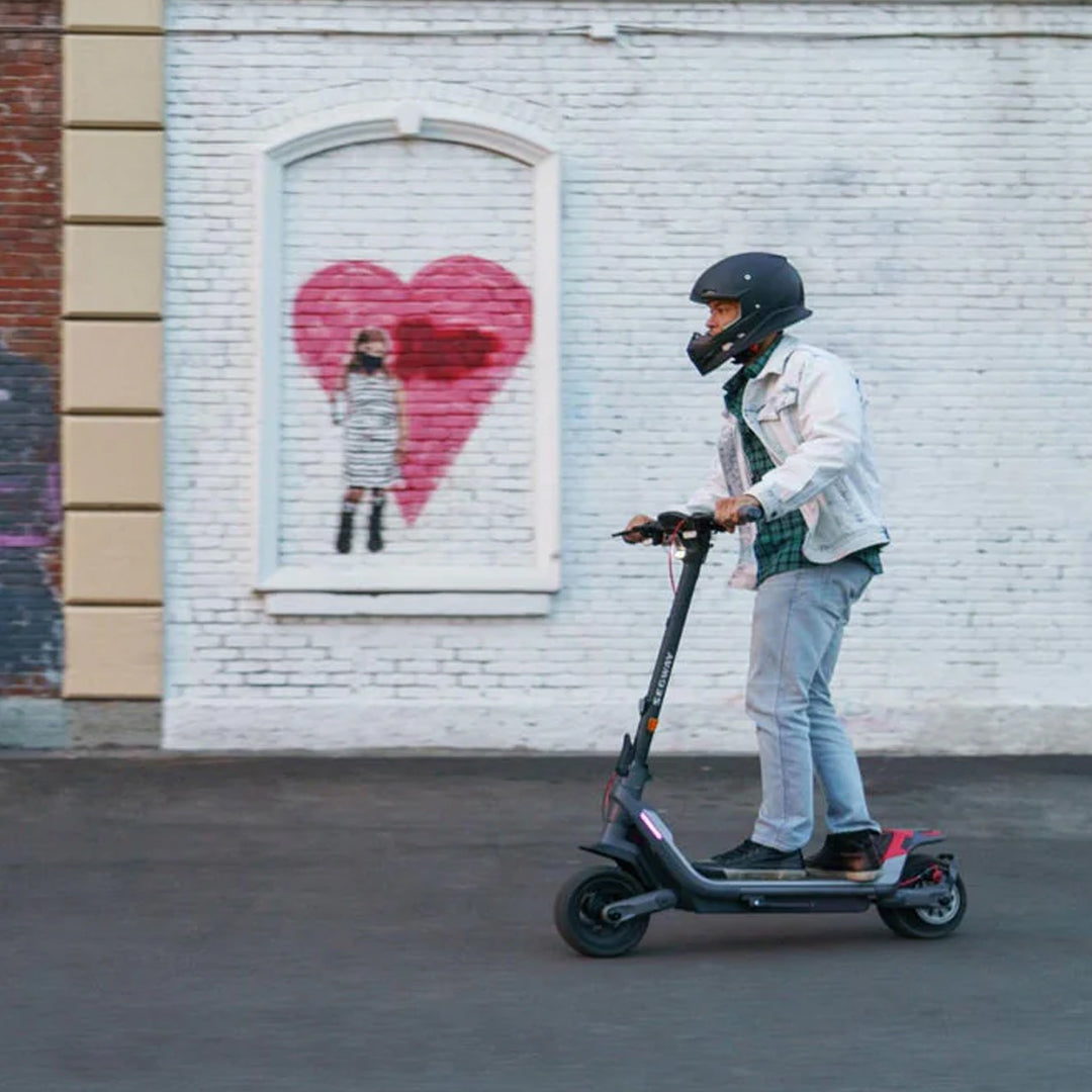 Segway KickScooter P100SUTop Speed 48km/hTypical Range to 100km UAE